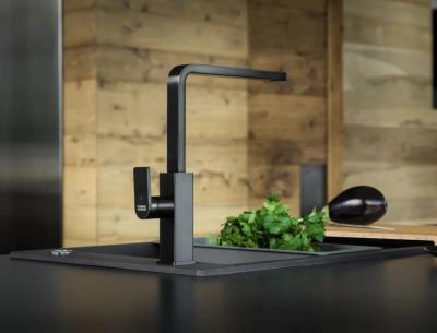 Franke Mythos Robinet de cuisine avec bec pivotant noir brossé 115.0550.441