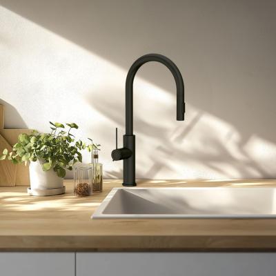 Quadri Retford mitigeur de cuisine noir mat avec bec amovible et réglage de la douchette 1208956087