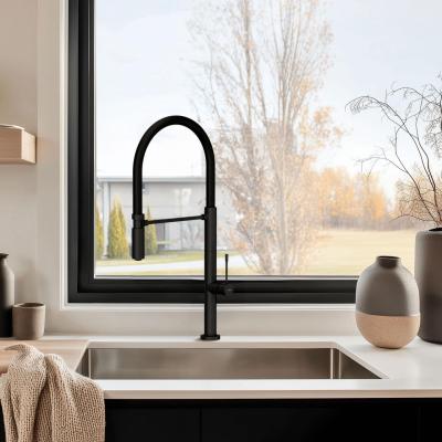 Quadri Brighton mitigeur de cuisine noir mat avec bec flexible noir 1208956103