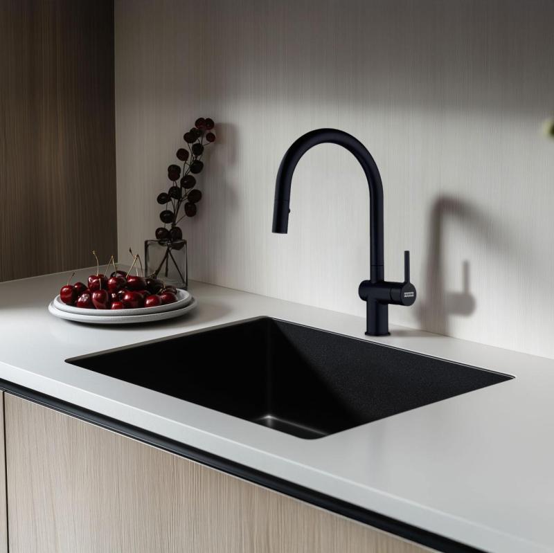 Franke Active J mitigeur de cuisine noir mat avec douchette extractible 115.0653.404
