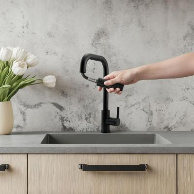 Robinet de cuisine Pure.Sink Elite Steel Crystal-S Noir mat avec bec extensible PS8050-10