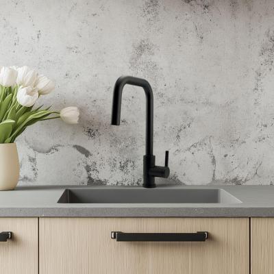 Robinet de cuisine Pure.Sink Elite Steel Crystal-S Noir mat avec bec extensible PS8050-10