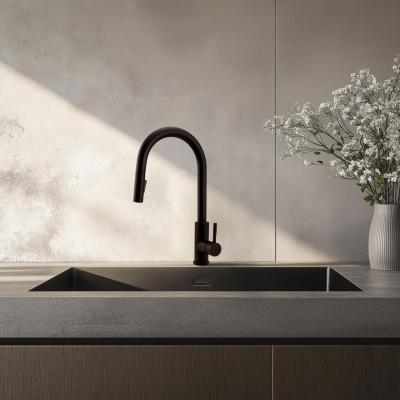 Robinet de cuisine Pure.Sink Elite Steel Stream-S Noir Mat avec bec extensible PS8045-10