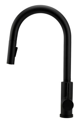 Robinet de cuisine Pure.Sink Elite Steel Stream-S Noir Mat avec bec extensible PS8045-10