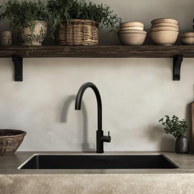 Waterevolution Flow robinet de cuisine avec bec pivotant rond noir T158UPR