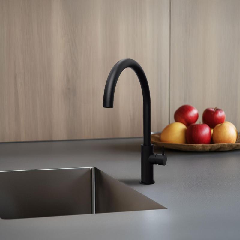 Waterevolution Flow robinet de cuisine avec bec pivotant rond noir T158UPR