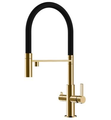 Ausmann Claridge Mitigeur de Cuisine à 3 Voies avec Bec Flexible et Eau Filtrée – Or - 1208970504