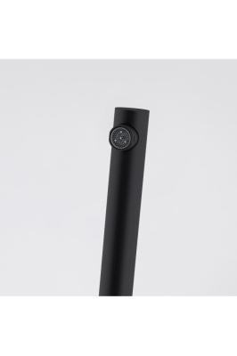 Franke Lina L Robinet de Cuisine Pivotant Noir 115.0693.393